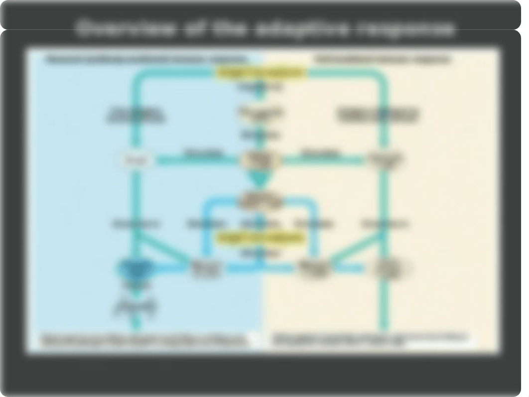 chapter 4 lecture 2015 student(1).ppt_d56ppayi8lk_page5