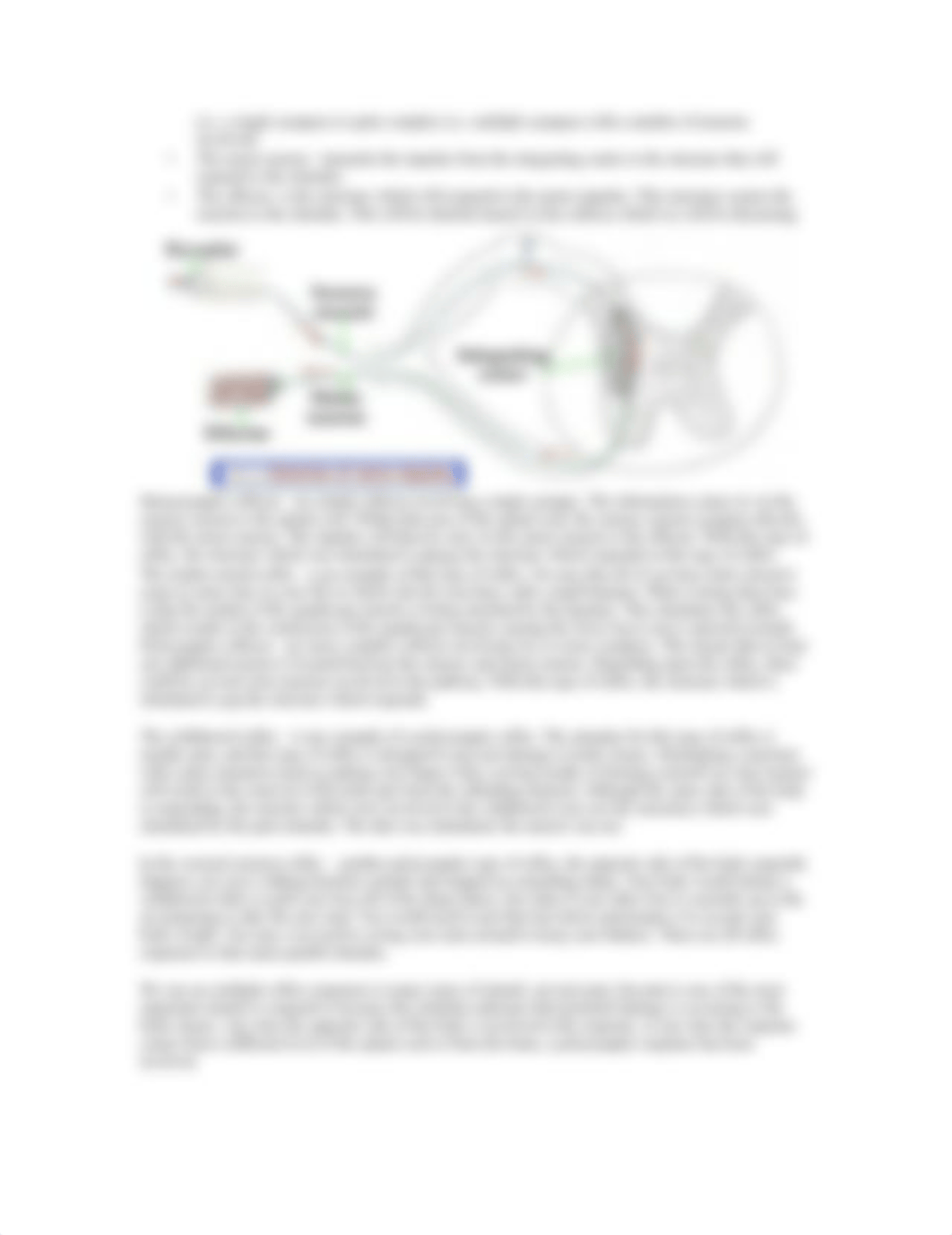 Lesson 6 Nervous System II.pdf_d56qusvd10u_page2