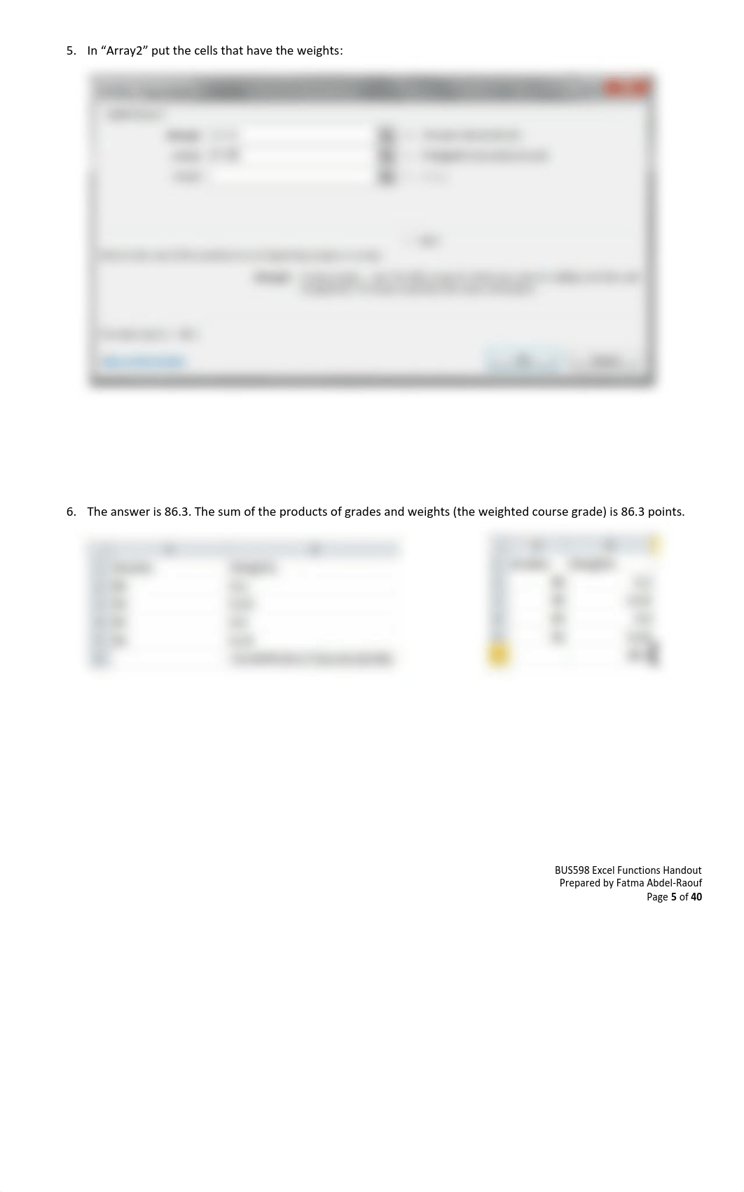 BUS598 Excel Functions Handout.pdf_d56s5v52zwt_page5