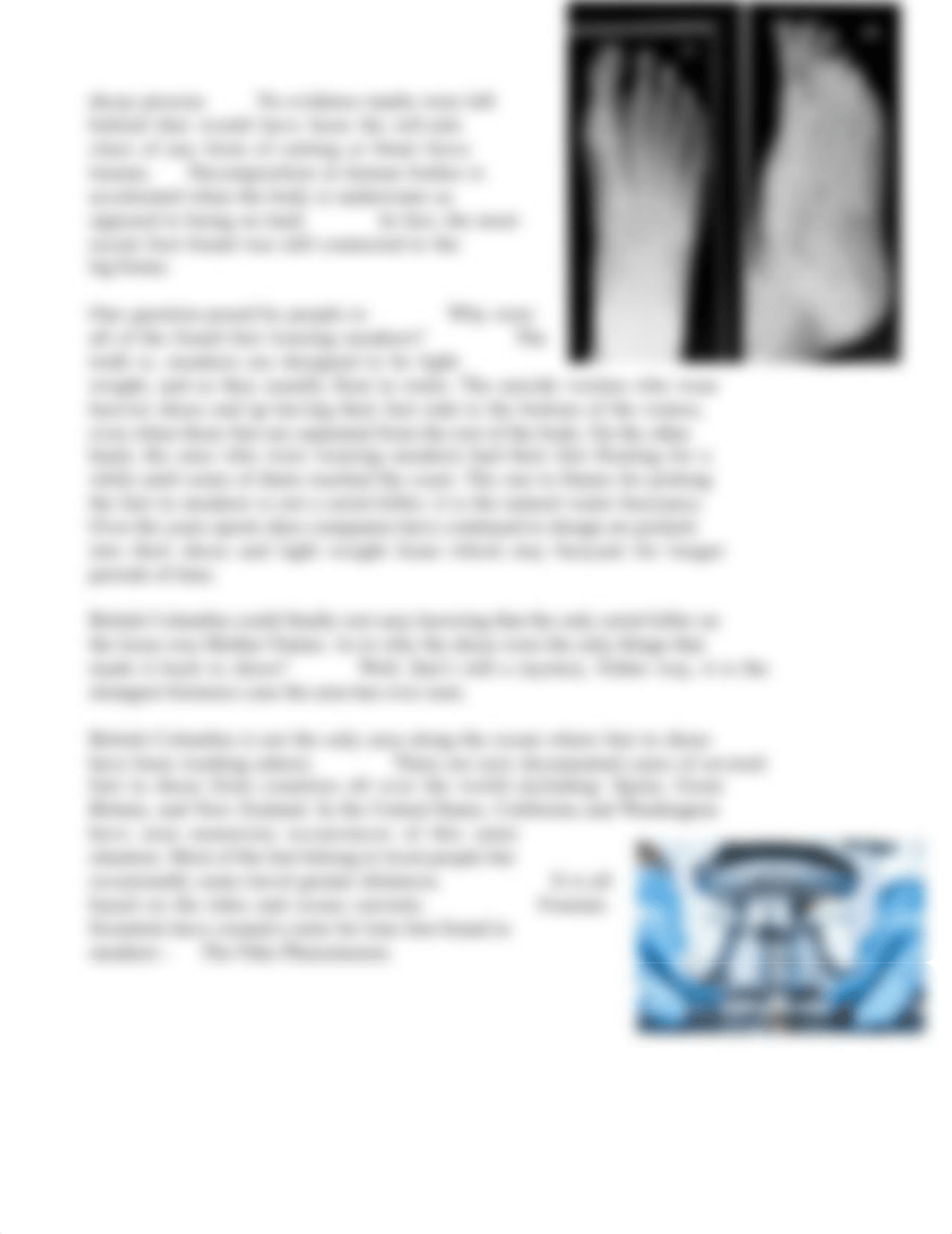 Forensic Case 2 - Floating Feet Mystery.dotx_d56yzgzy70x_page2