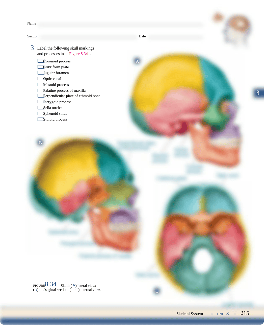 Bio241Lab5.pdf_d572prxoyj9_page3