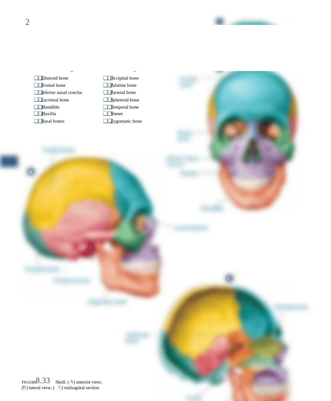 Bio241Lab5.pdf_d572prxoyj9_page2