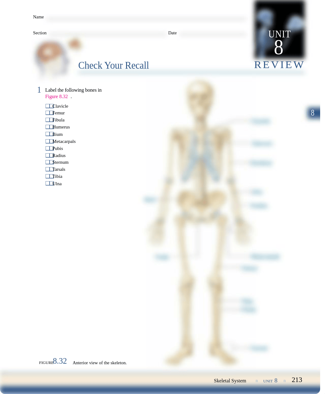 Bio241Lab5.pdf_d572prxoyj9_page1