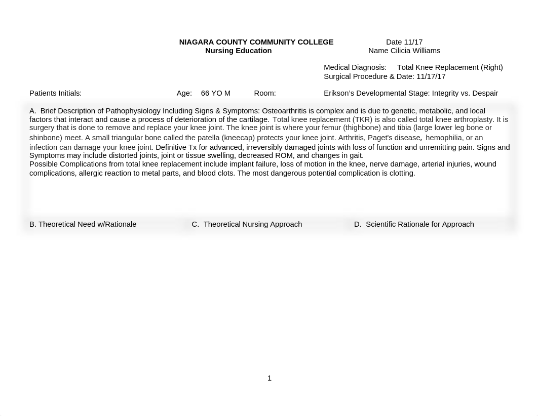 Theoretical Care Plan Total Knee.doc_d575urp51vo_page1