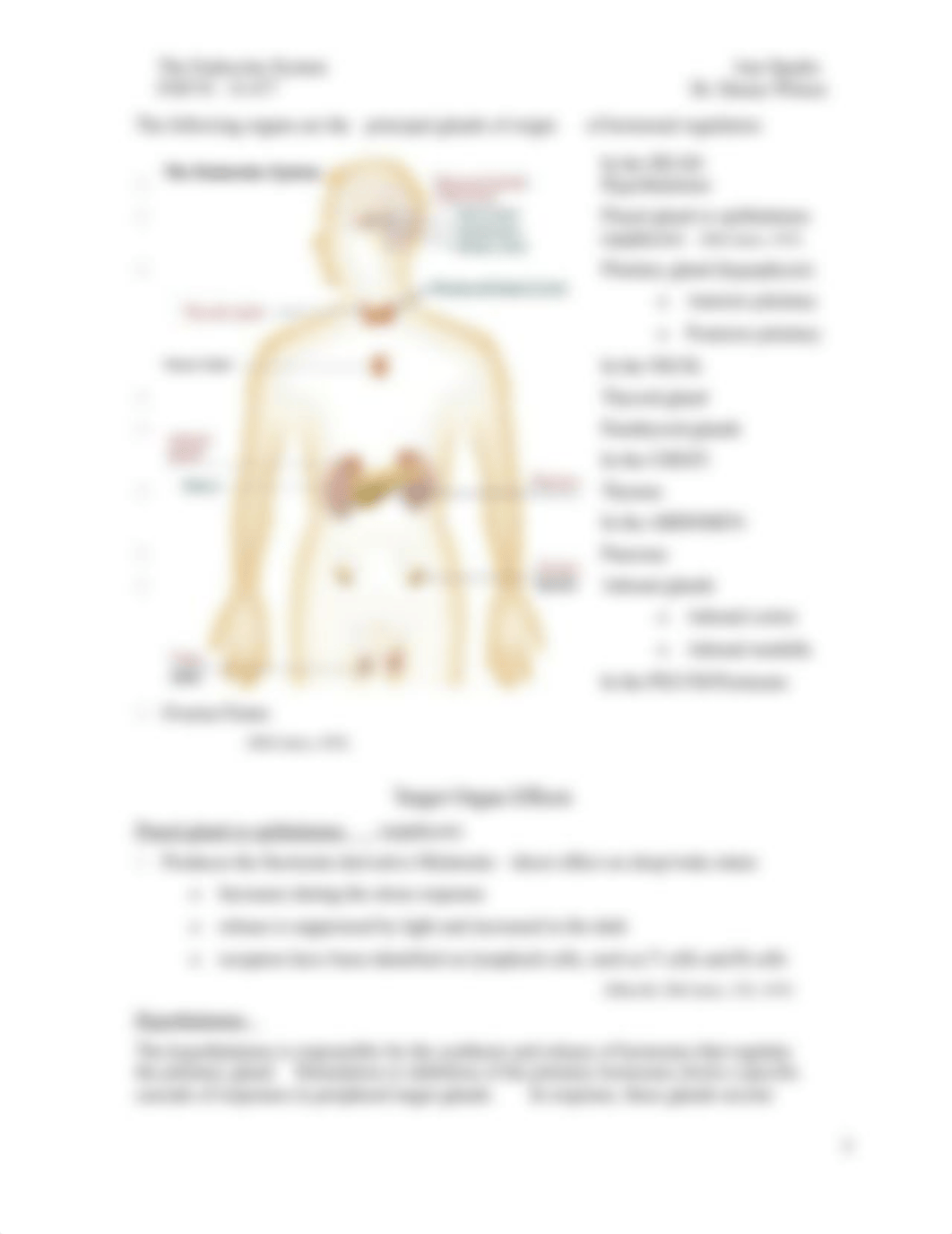 66ENDOCRINE-SYSTEM-Overview.docx_d575visae3k_page3