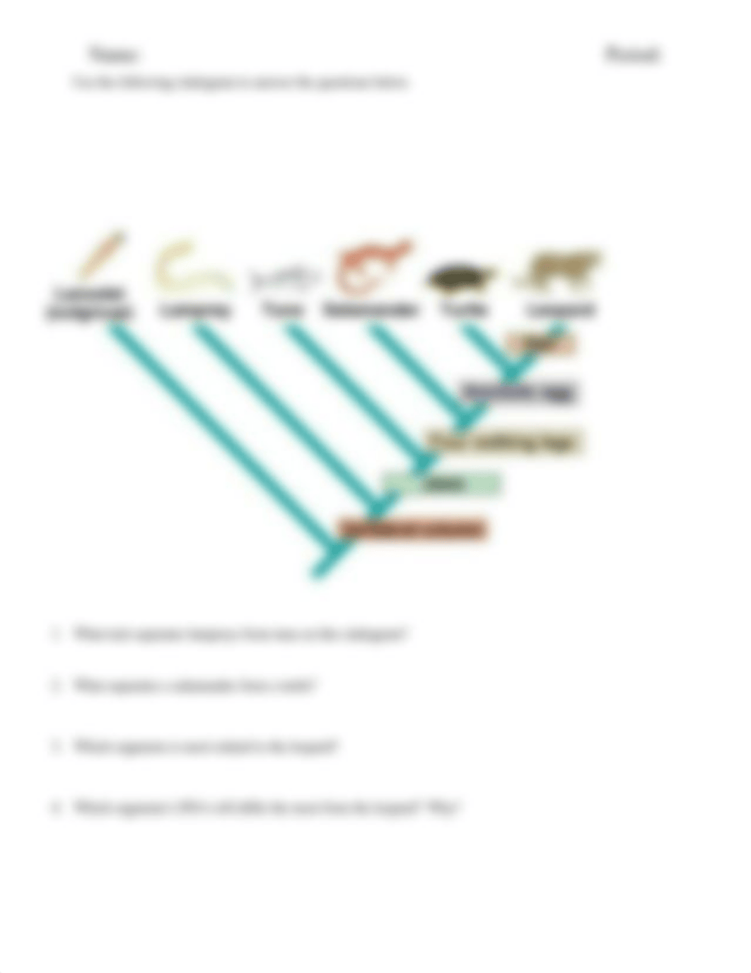 Cladogram Worksheet-1 (2).docx_d577hiiroy9_page3