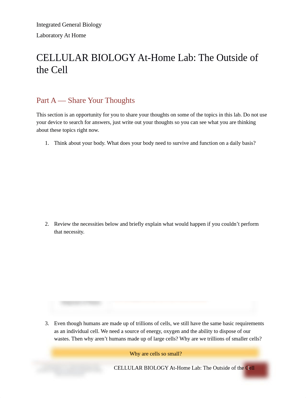 CELLBIOLOGY LAB Outside of the Cell; Rohrbacher.docx_d579xvofpvu_page1