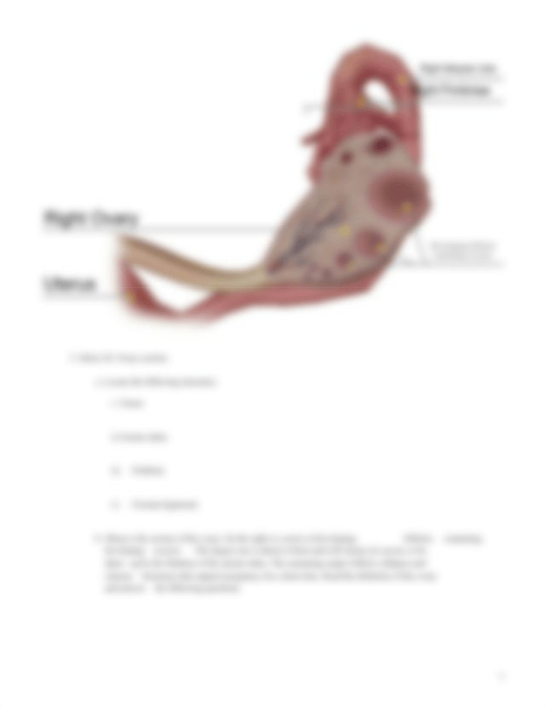 Lab_Activity_-_Female_Reproductive_System.pdf_d57a2bto1wc_page5