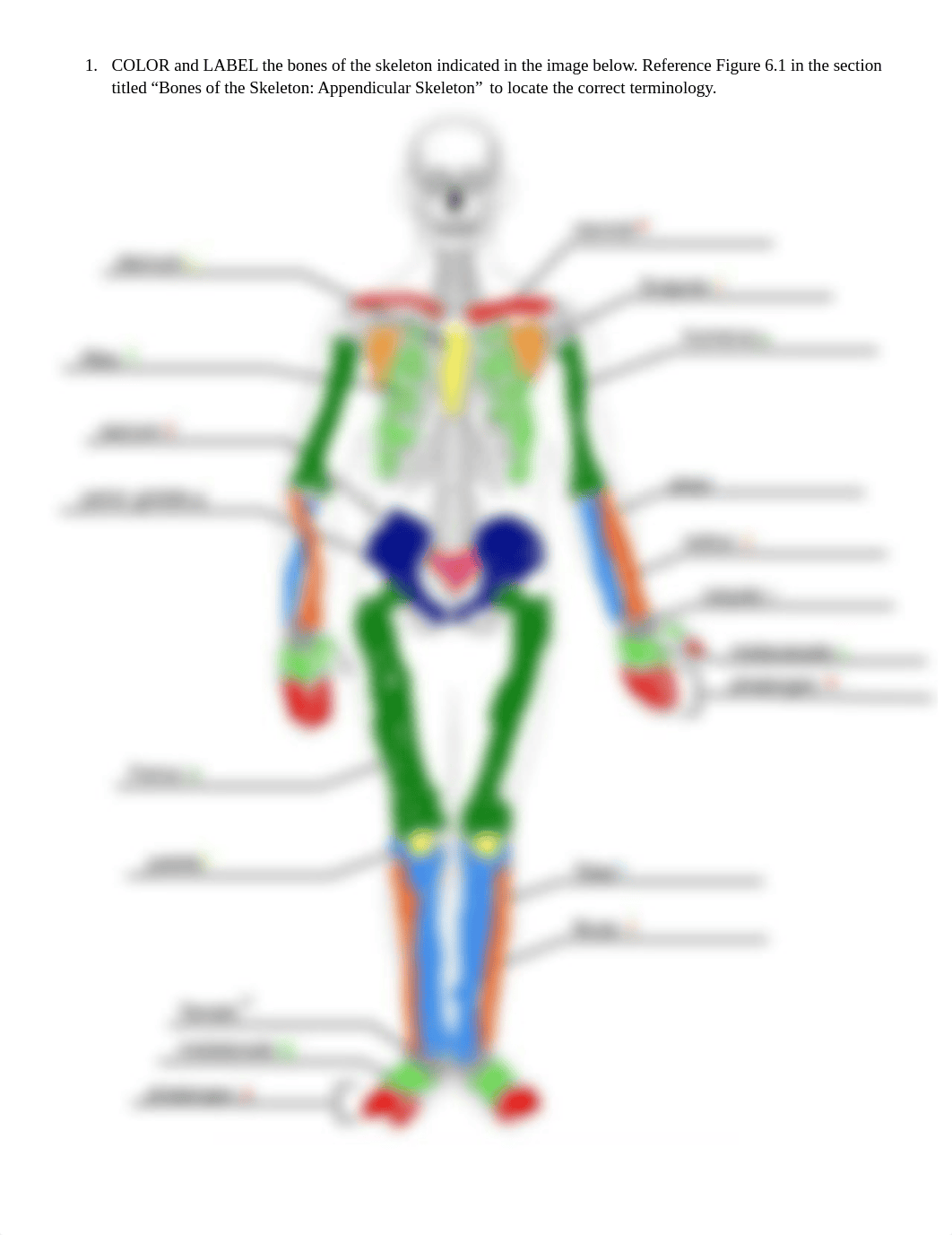 Anth 301 - Activity 8 Bones of the Skeleton (1).pdf_d57c3ue8er4_page2