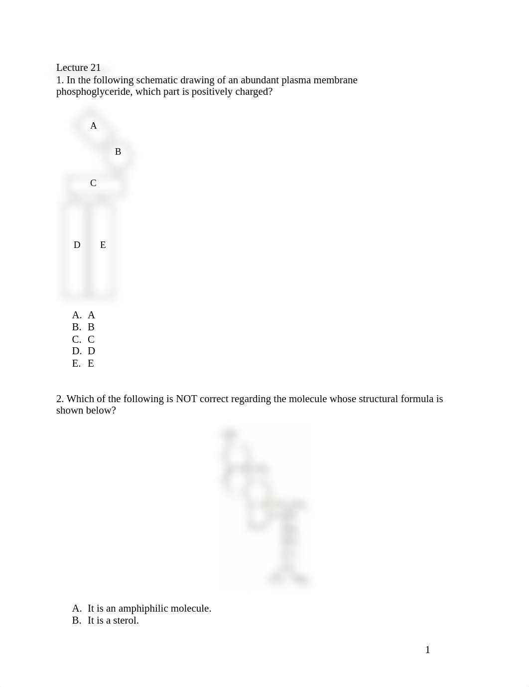 Exam 4 SG .docx_d57qp2pnty1_page1