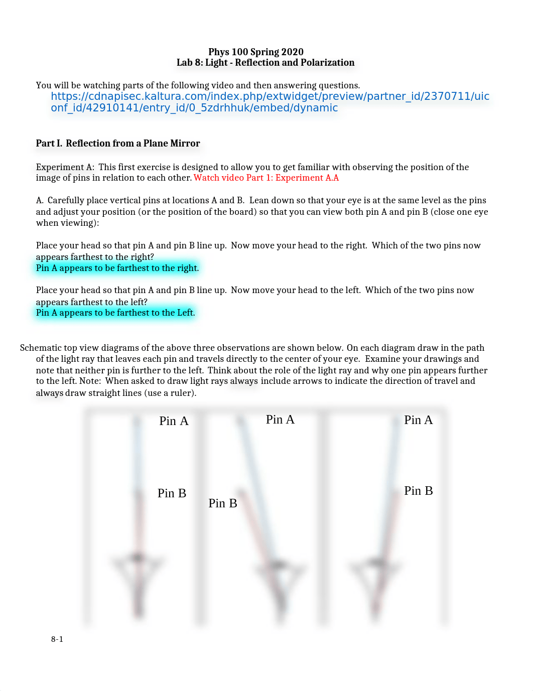 Phys 100 Online Lab 8 Reflection and Polarization-1.docx_d58b0nswcl4_page1