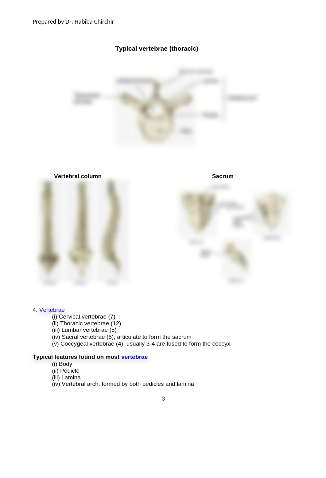 LAB 4 Key.docx_d58bnaqvgvd_page3