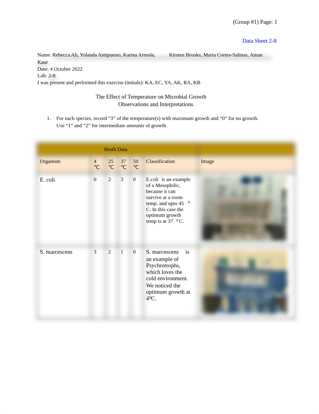 LAB # 4 .pdf_d58gctju1um_page1