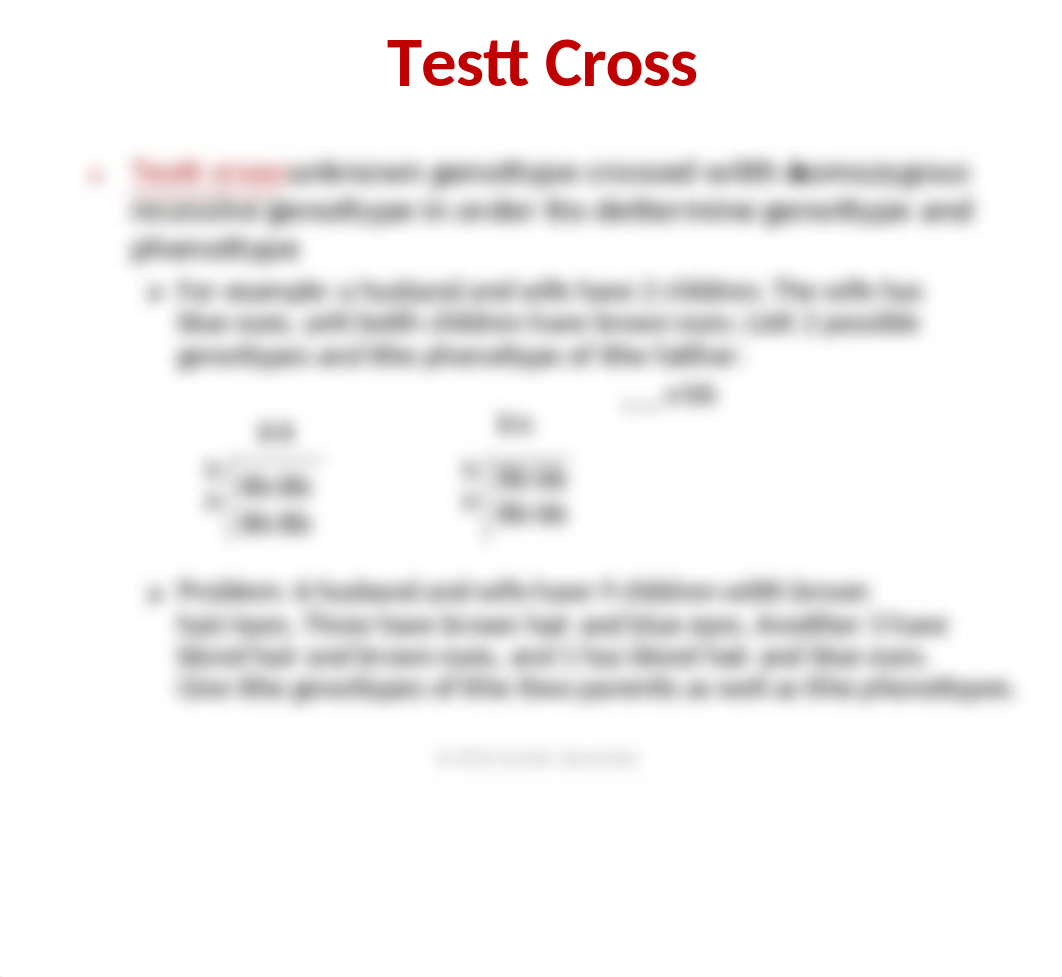 Genetic Problems Overview.ppt_d58k96btnf2_page5