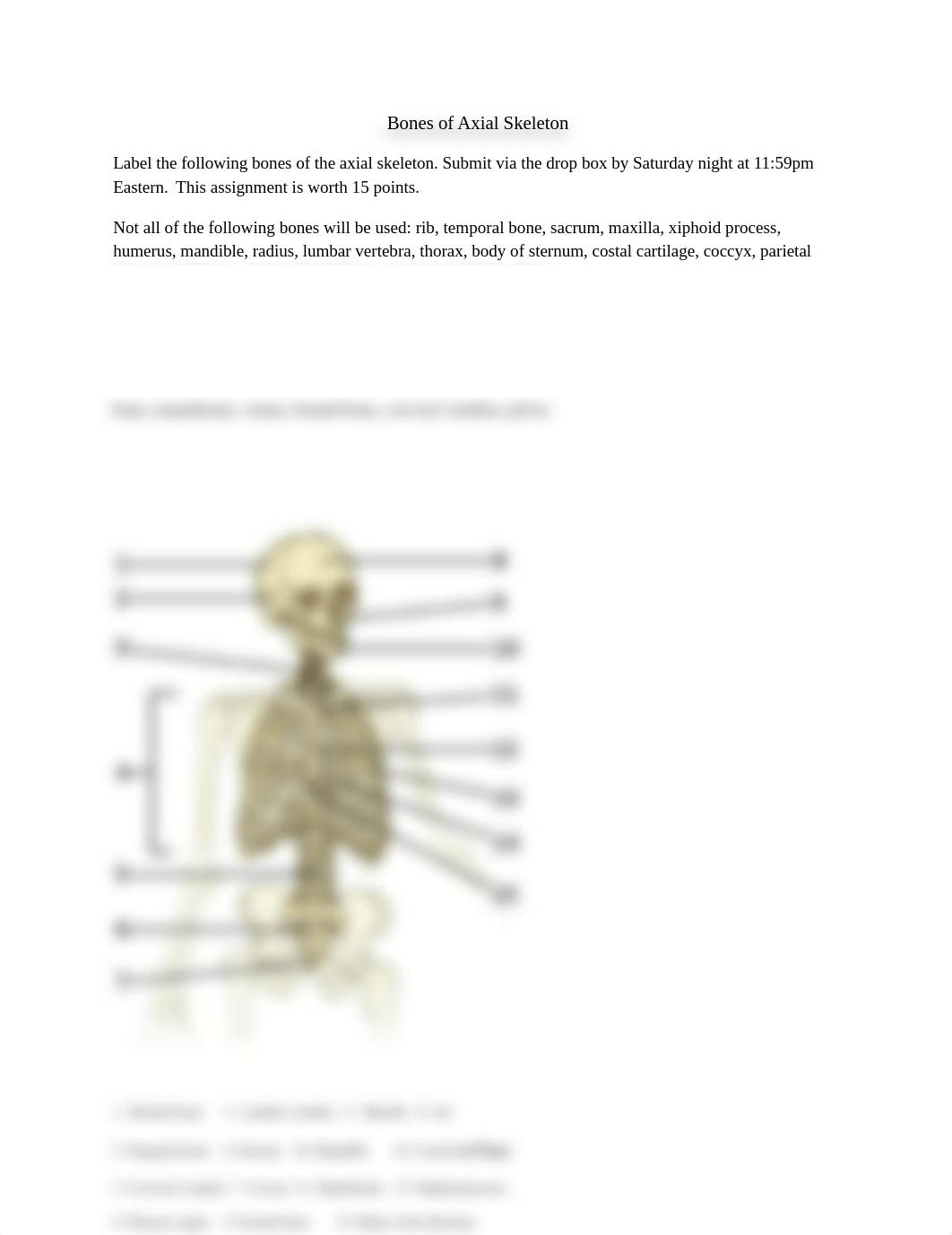 BIO 201 - Label bones of Axial Skeleton - Week 2 a.docx_d58o332vylh_page1