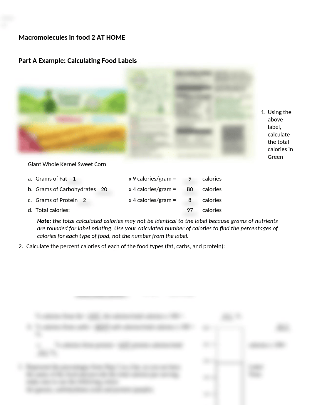 Completed macromolecules food 2 AT HOME.docx_d58oyj2m2gl_page1