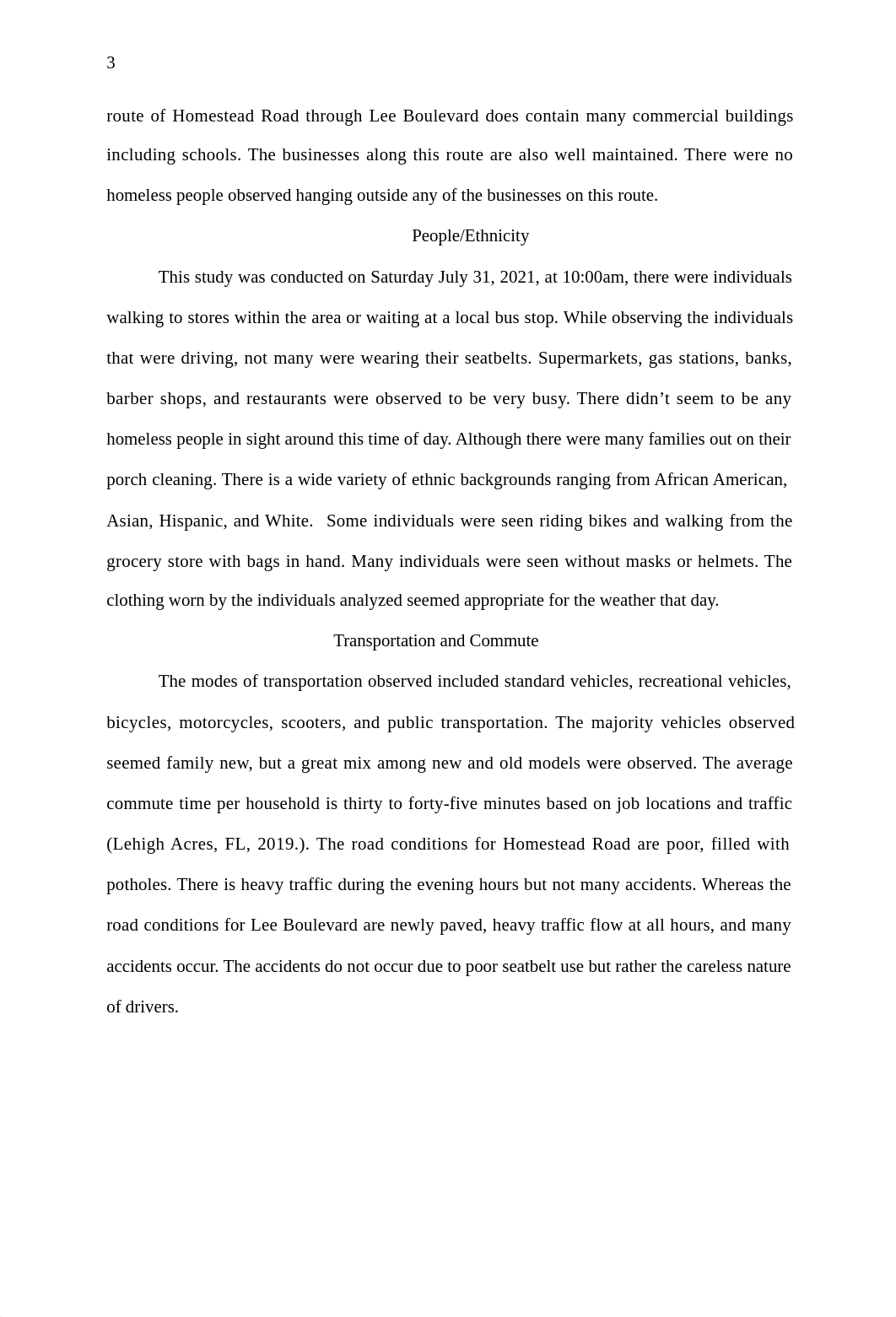 Windshield Survey.docx_d58tsax5ms9_page3