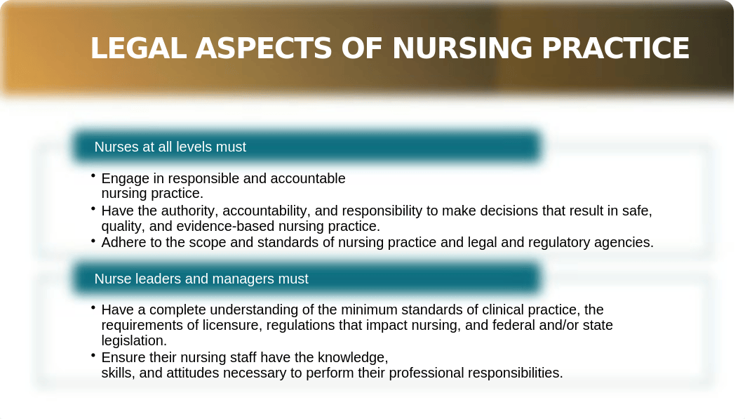 Chapter 5 Legal Aspects of Nursing Practice .pptx_d58xfrb8m4i_page4