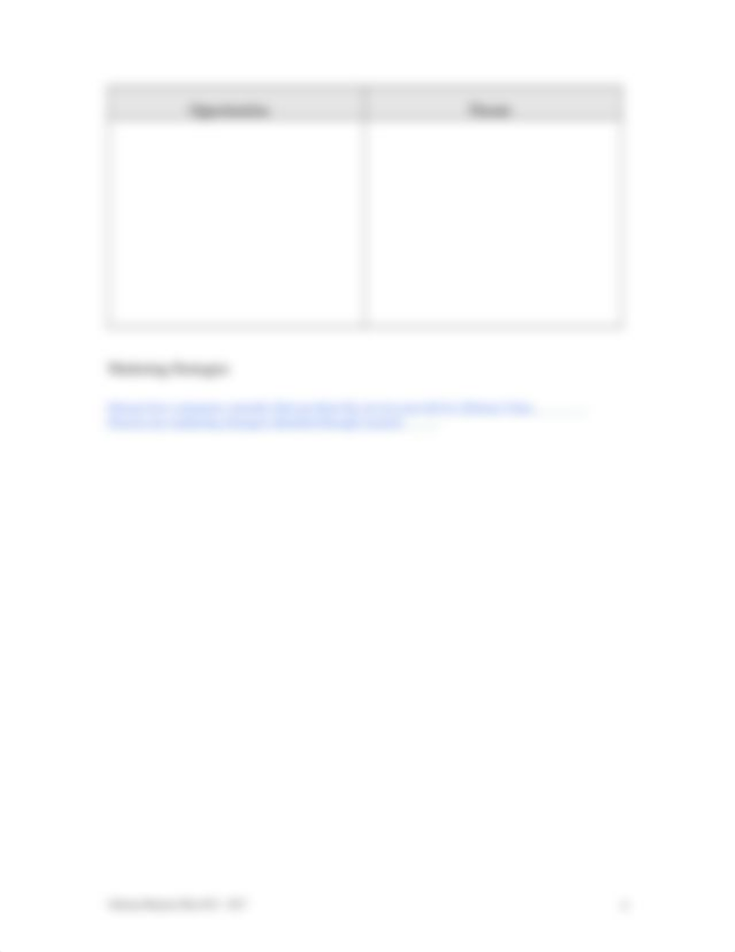 Business Plan Template V1 .doc_d58y8eekr6w_page4