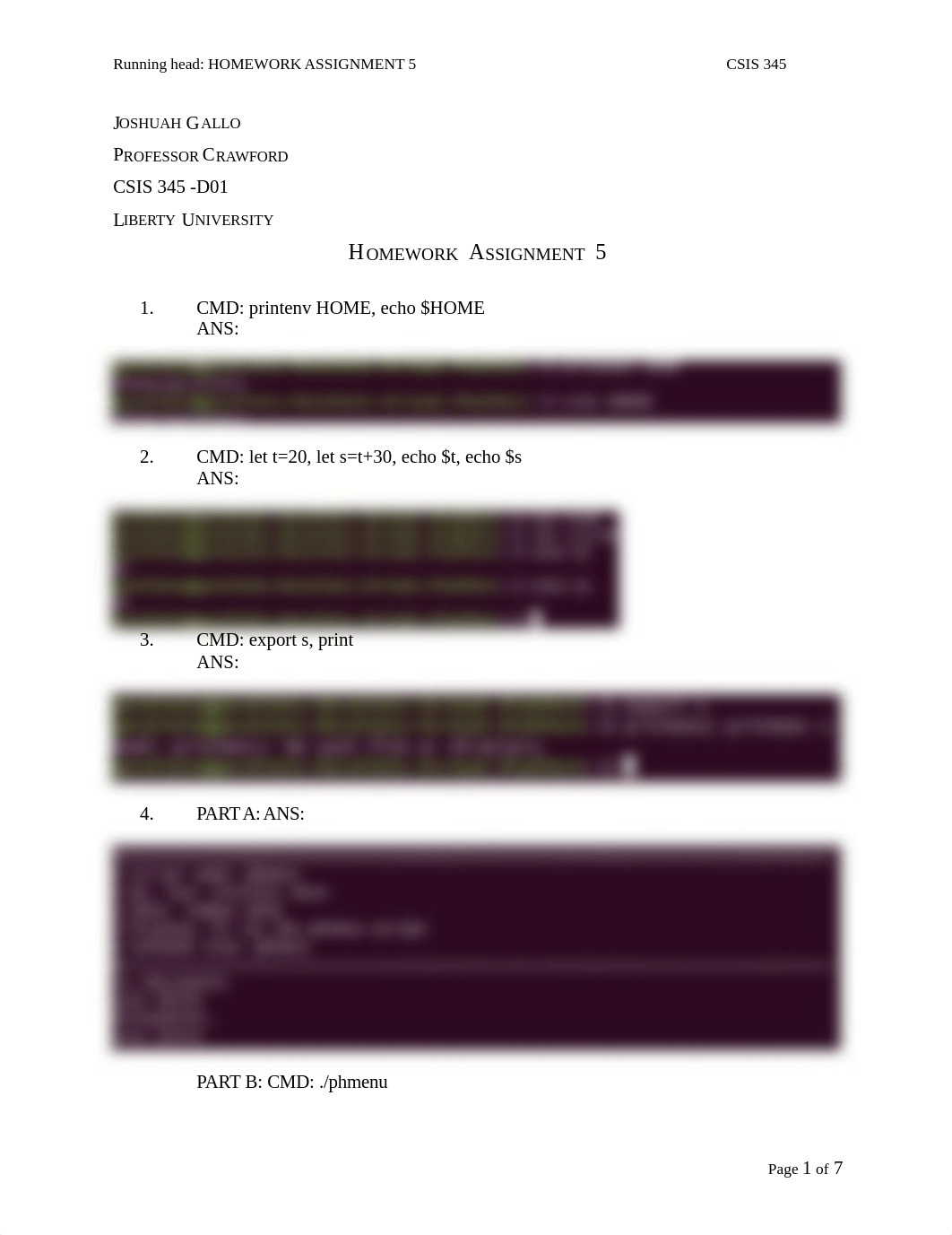 CSIS 345 homework 5.docx_d58yfi1s9iy_page1