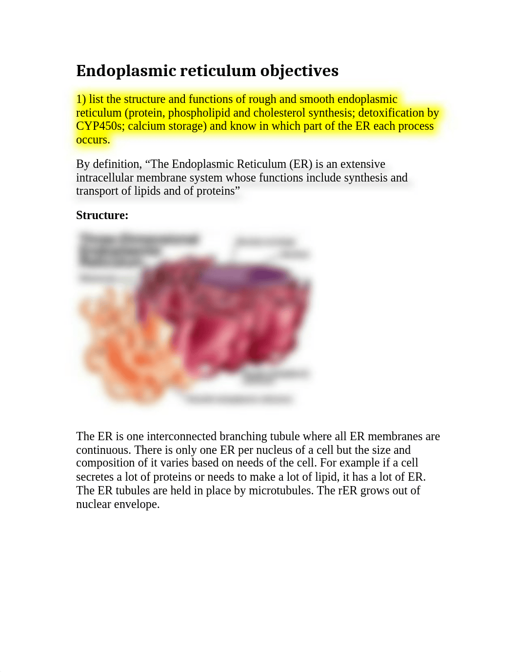 Endoplasmic reticulum objectives.docx_d590kw4jggm_page1