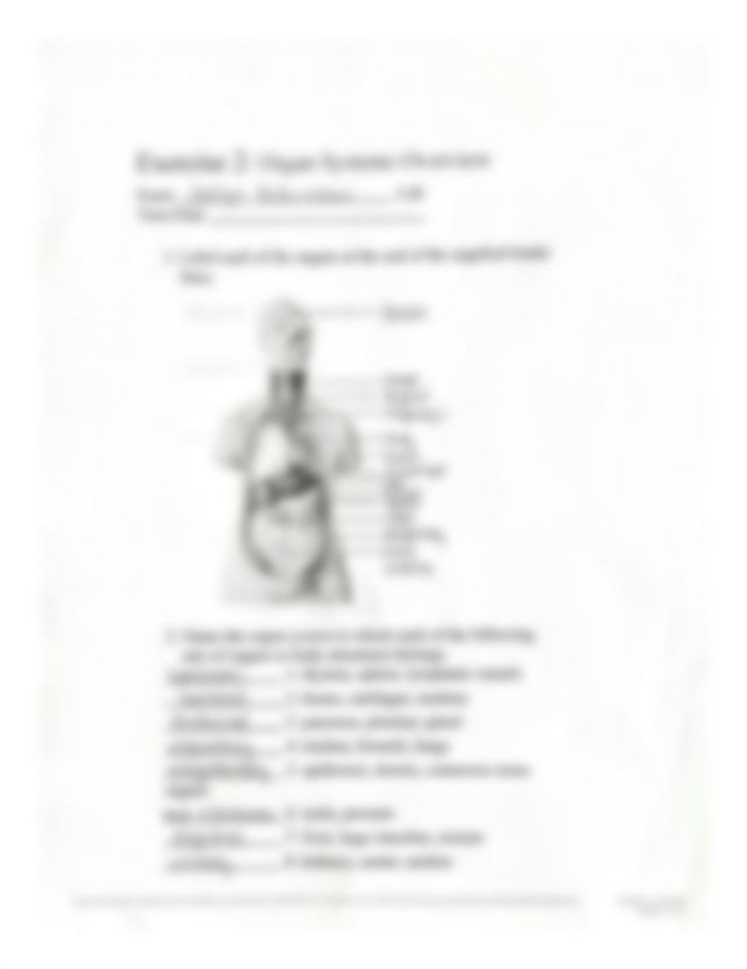 Exercise 2 Organ Systems Overview.pdf_d599qkn3g1p_page1