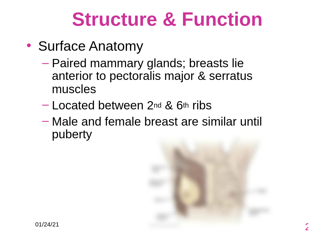 Ch 20 Breasts & Regional Lymphatics.ppt_d59dsd1s616_page2