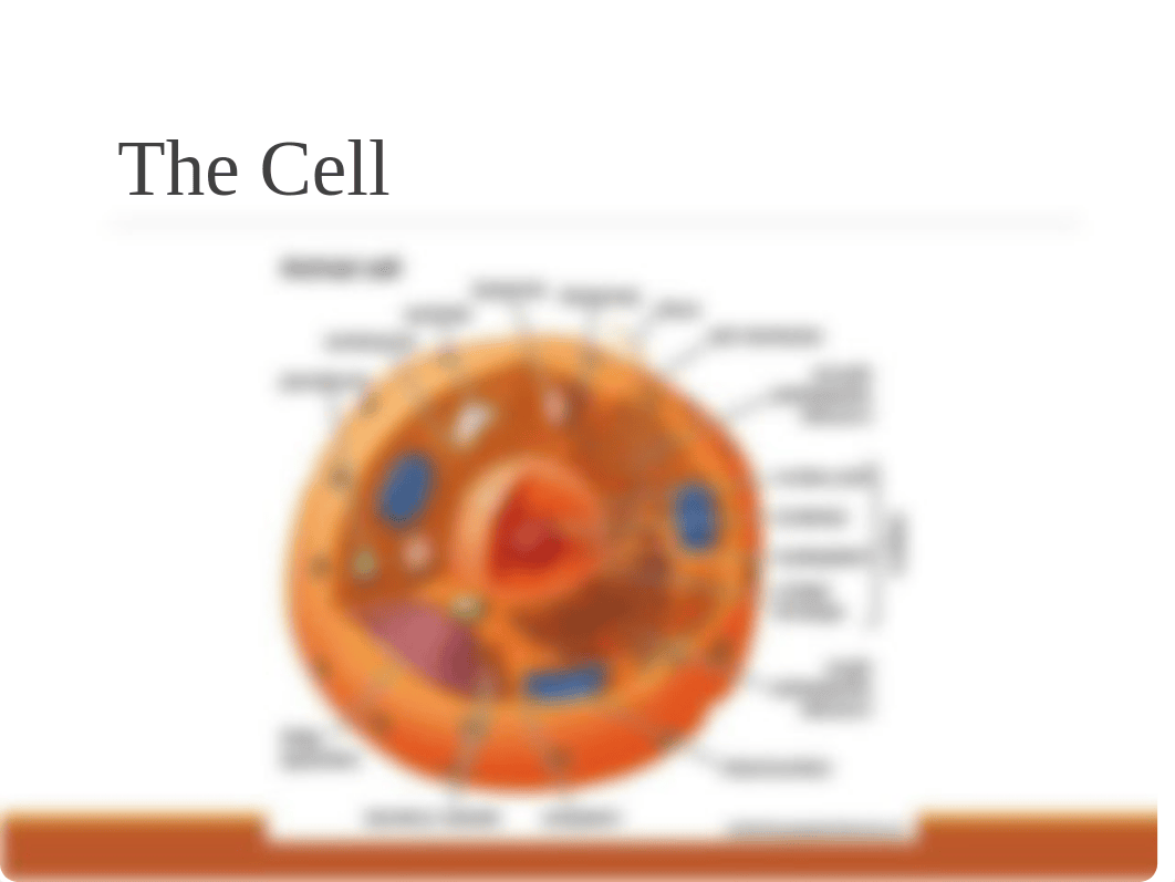 Cell Biology and Membrane Transport(1).ppt_d59eaqly84j_page5