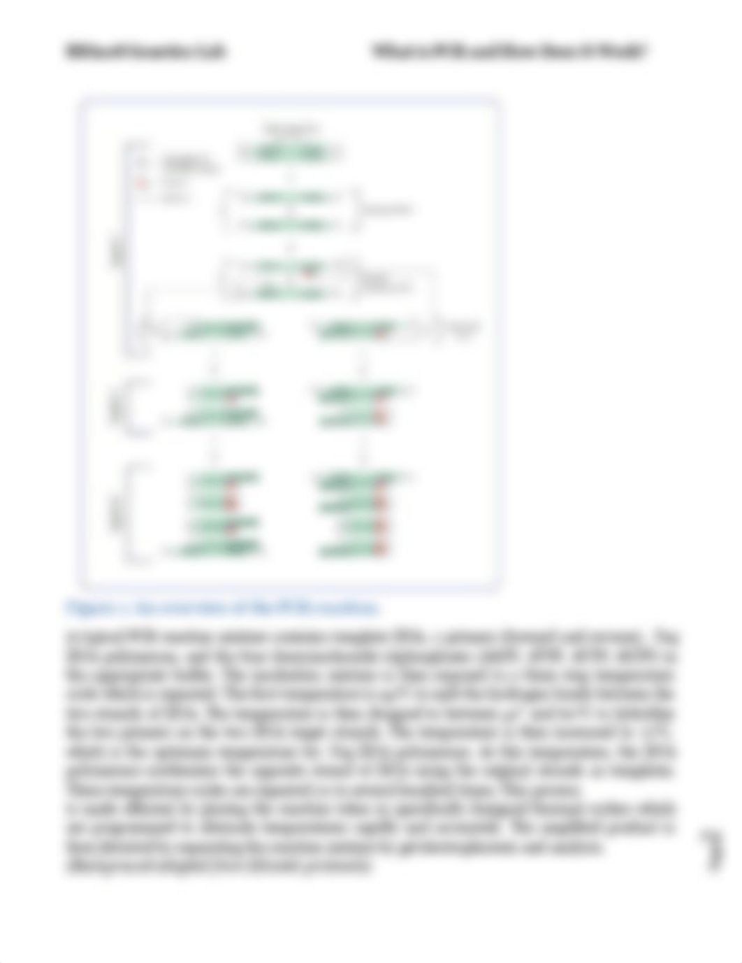 BIO208 Genetics Lab PCR Lab SP14_d59fg56u8qd_page2