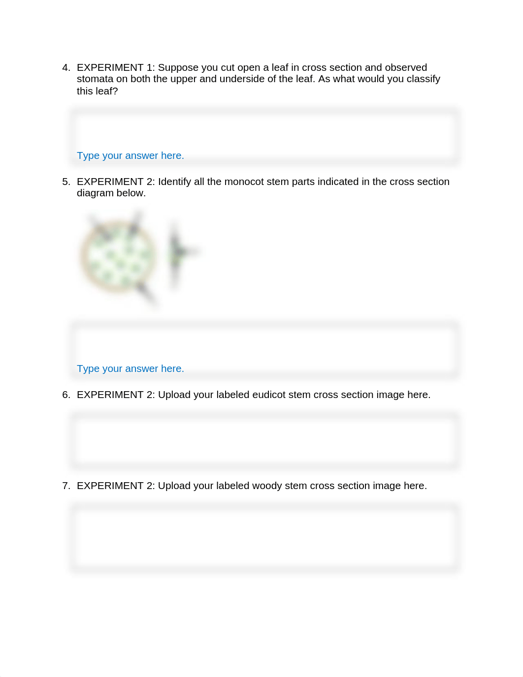 Lab 05A Plant Structure and Function Short Answer Questions.docx_d59h326nbug_page2