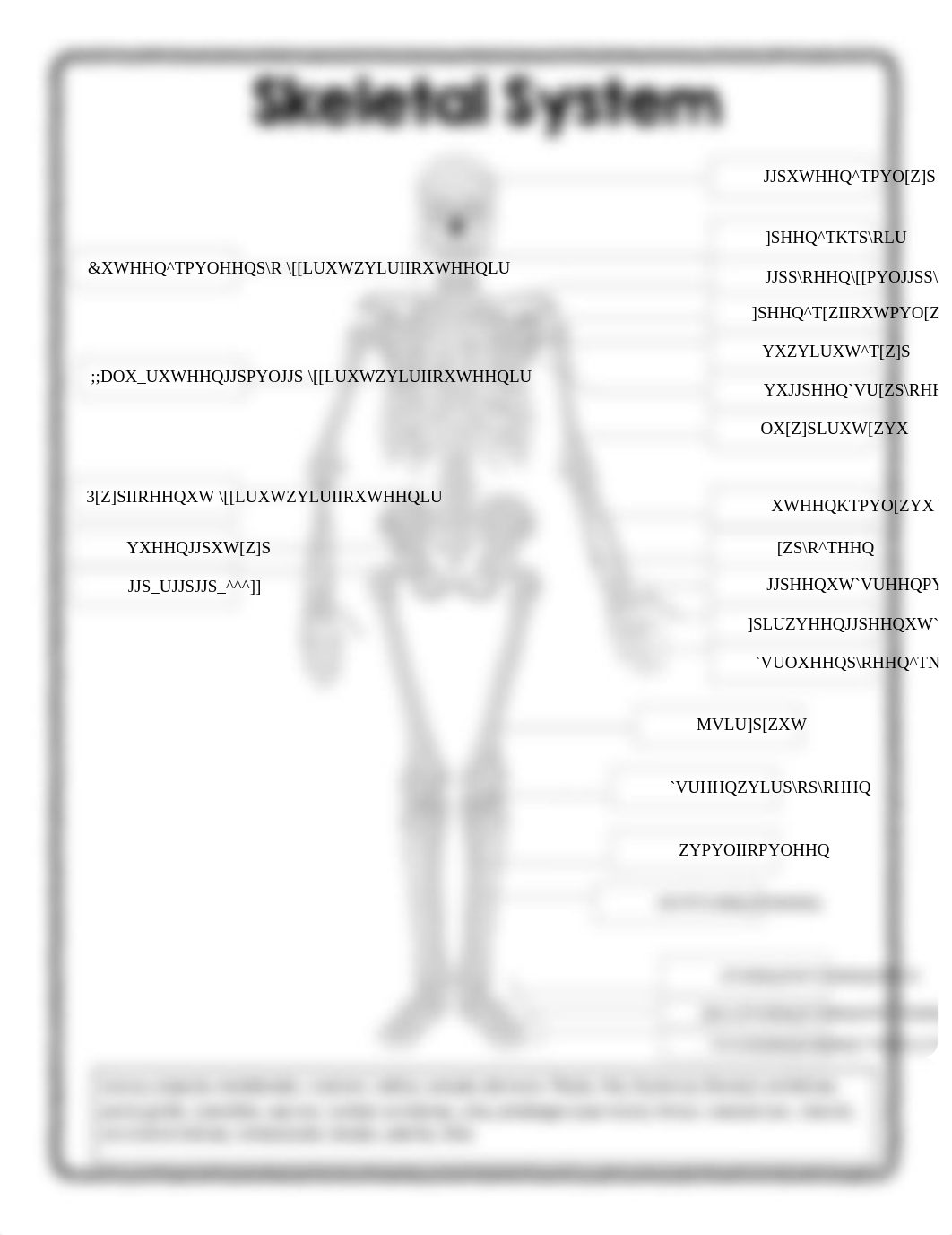 javalon Digital Diagrams Skeleton, Skull, Joint.pdf_d59isag0xkt_page1