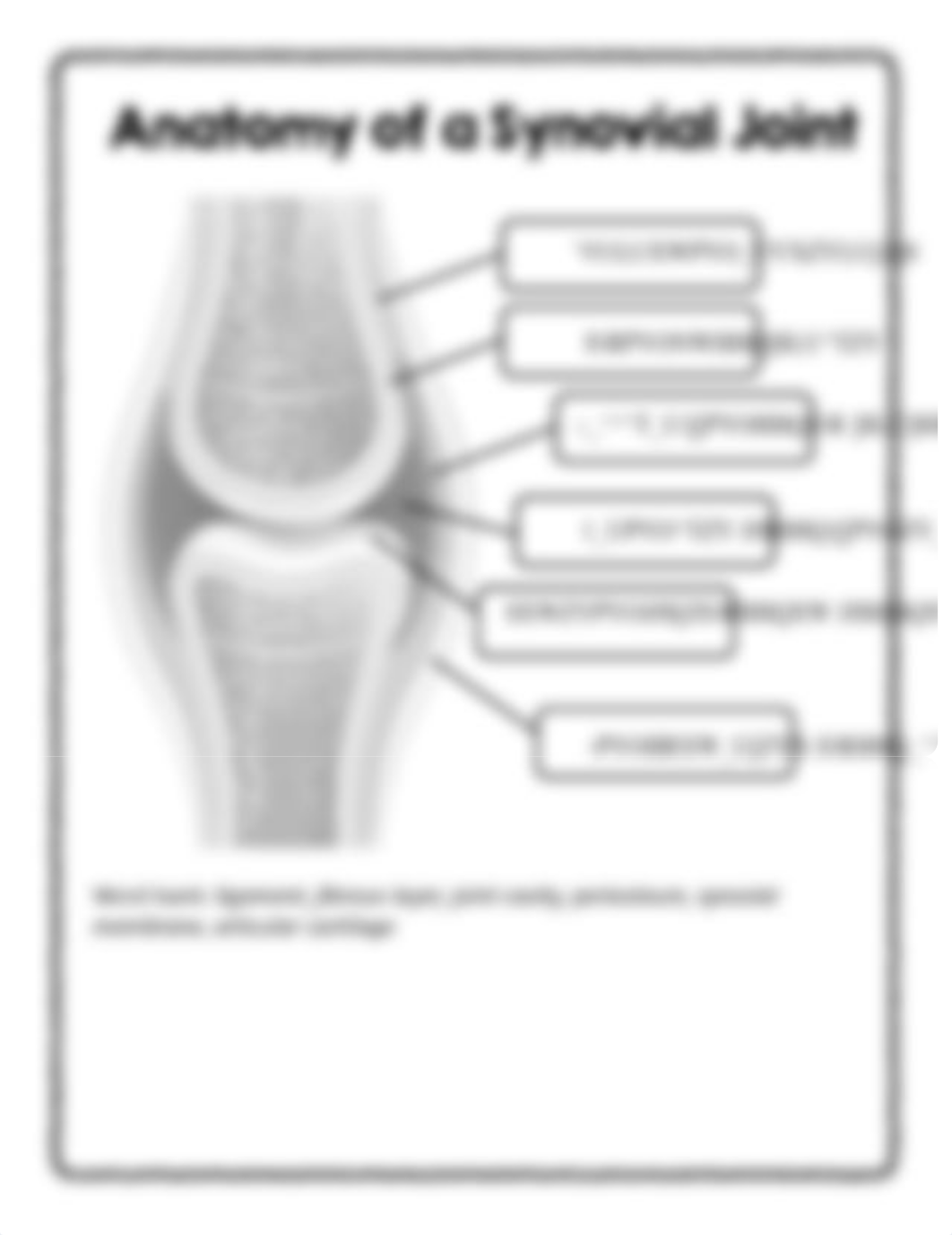 javalon Digital Diagrams Skeleton, Skull, Joint.pdf_d59isag0xkt_page3