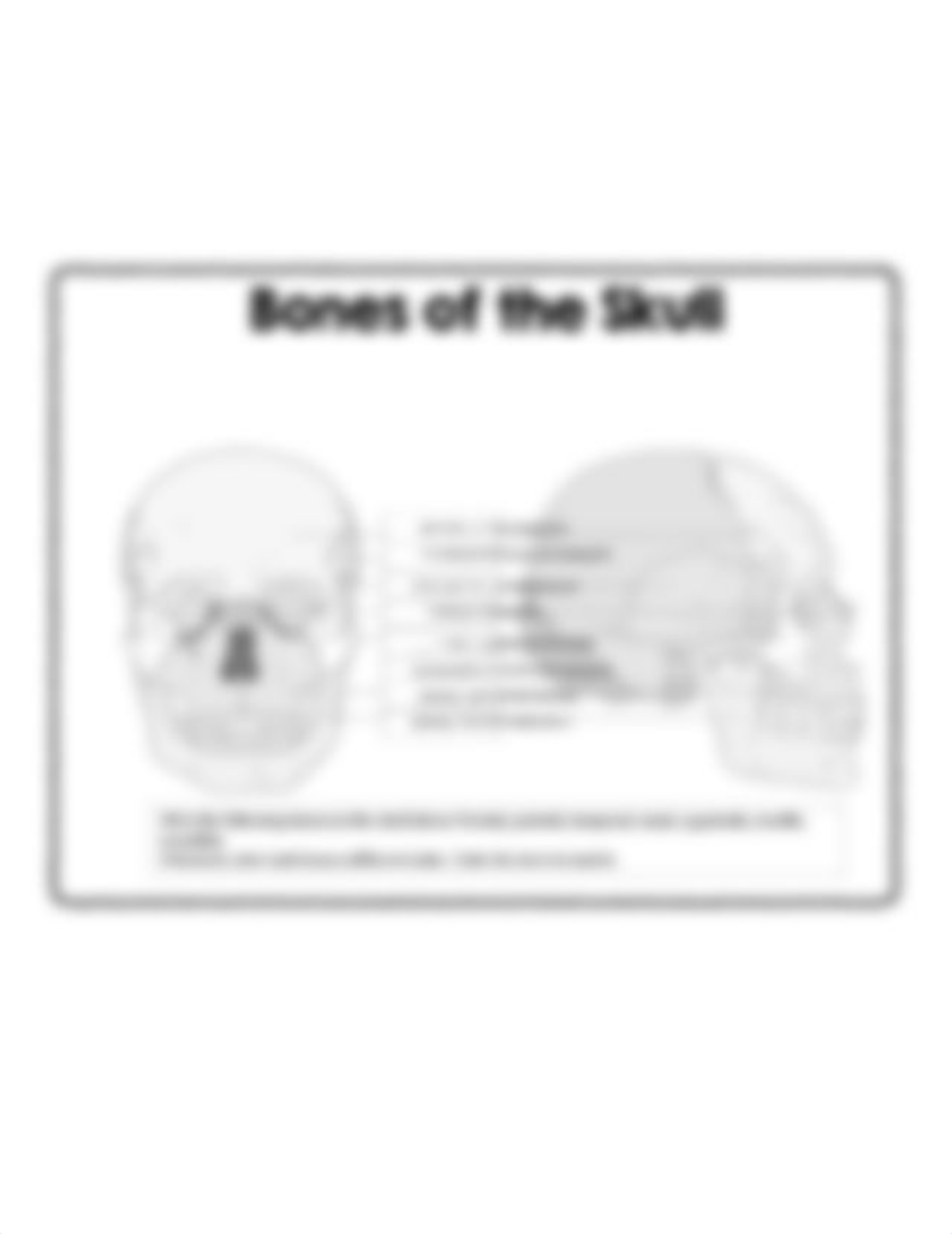 javalon Digital Diagrams Skeleton, Skull, Joint.pdf_d59isag0xkt_page2