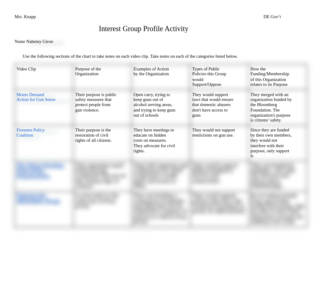 Interest Group Profile Activity.docx_d59r8ri4civ_page1