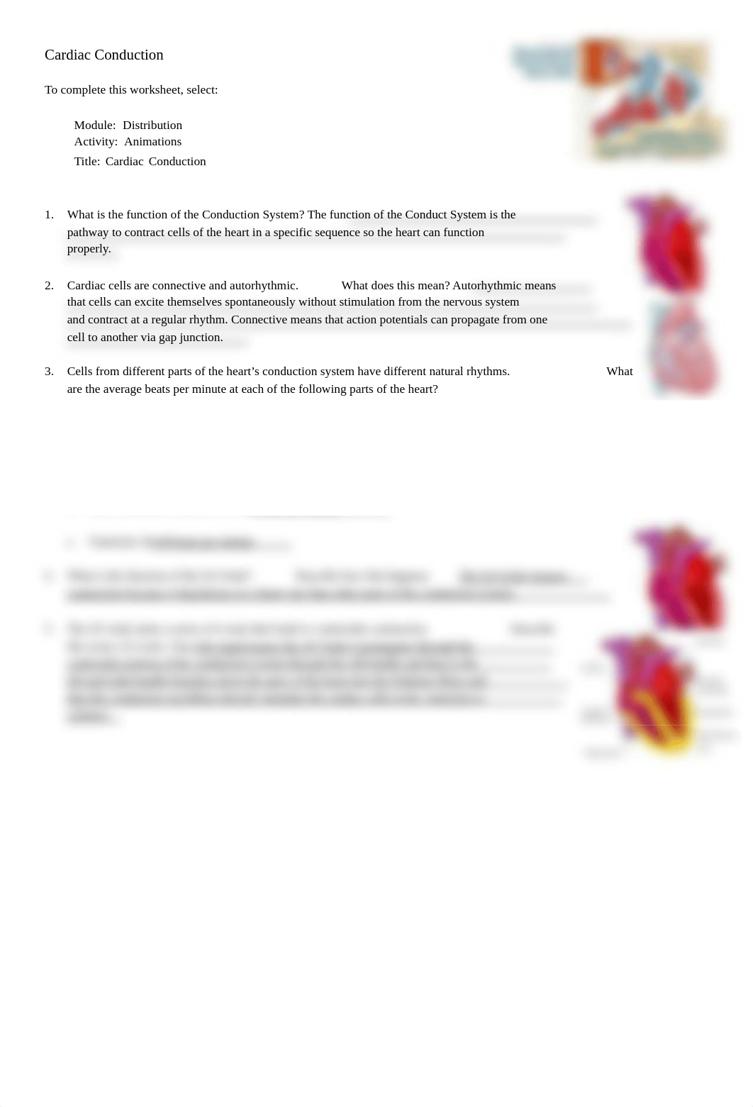 Katja_cardiac_conduction_worksheet_d59yiawge3e_page1