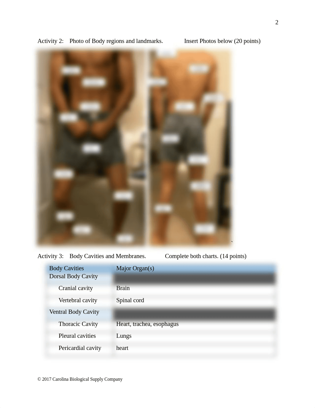 BIO 168 Lab 1 data sheet.pdf_d5a054v6oyw_page3