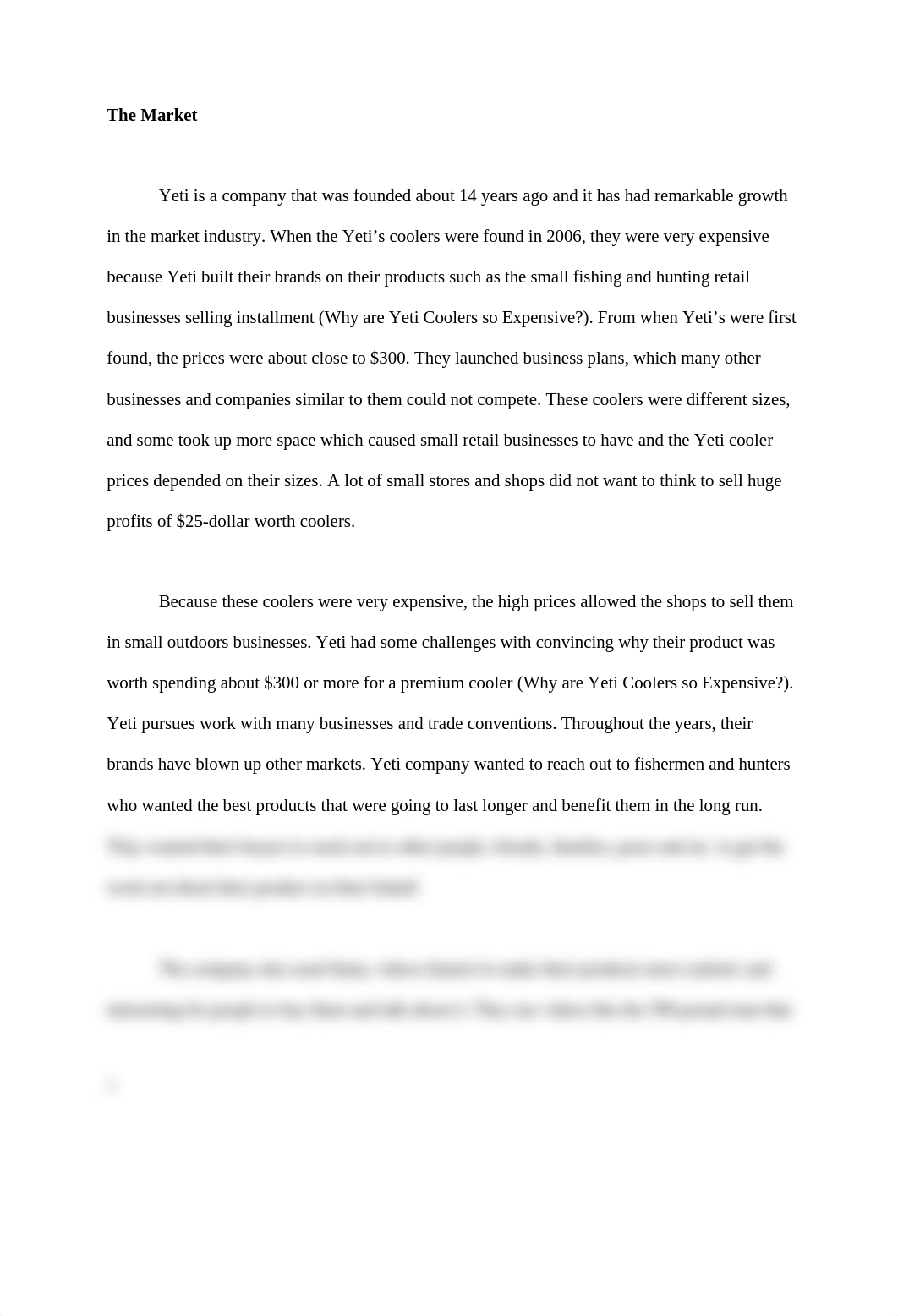 YETI Situation Analysis.docx_d5a1ouwo67o_page4