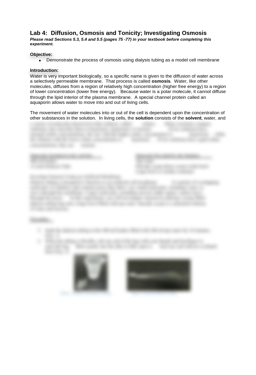 Lab 4 - Osmosis, Diffusion and Tonicity; Investigating Osmosis.pdf_d5a6snclbkt_page1