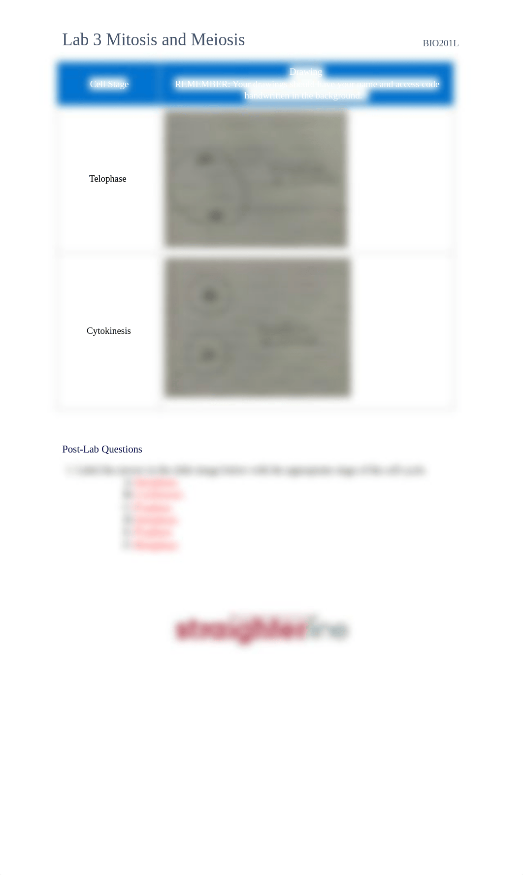 BIO201L+Lab+3+Upload+Document.docx_d5a7epvmqfu_page4