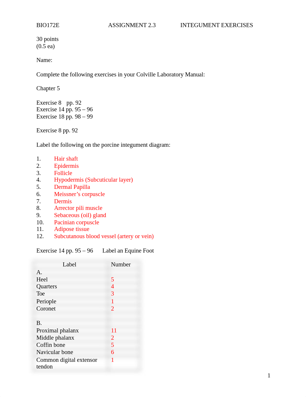 ASSN 2.3 INTEGUMENT EXERCISES KEY.docx_d5a7r4ak04h_page1