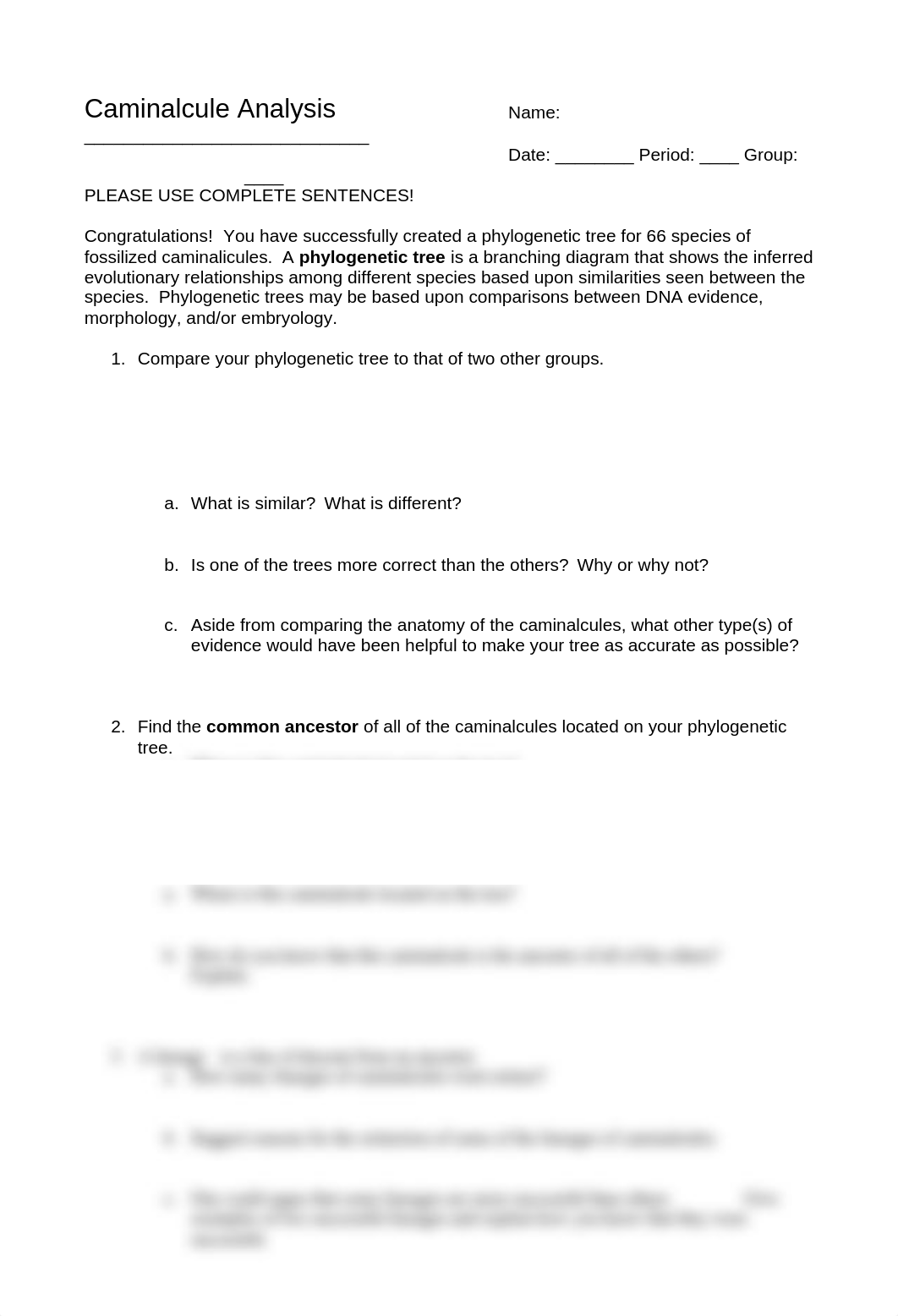 Caminalcule Questions (1)_d5advpef73g_page1