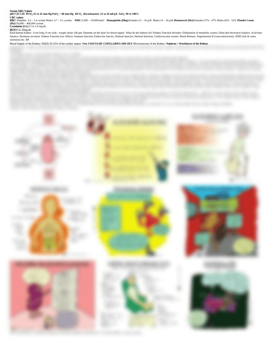 Serum ABG Values.docx_d5ana14t1lr_page1