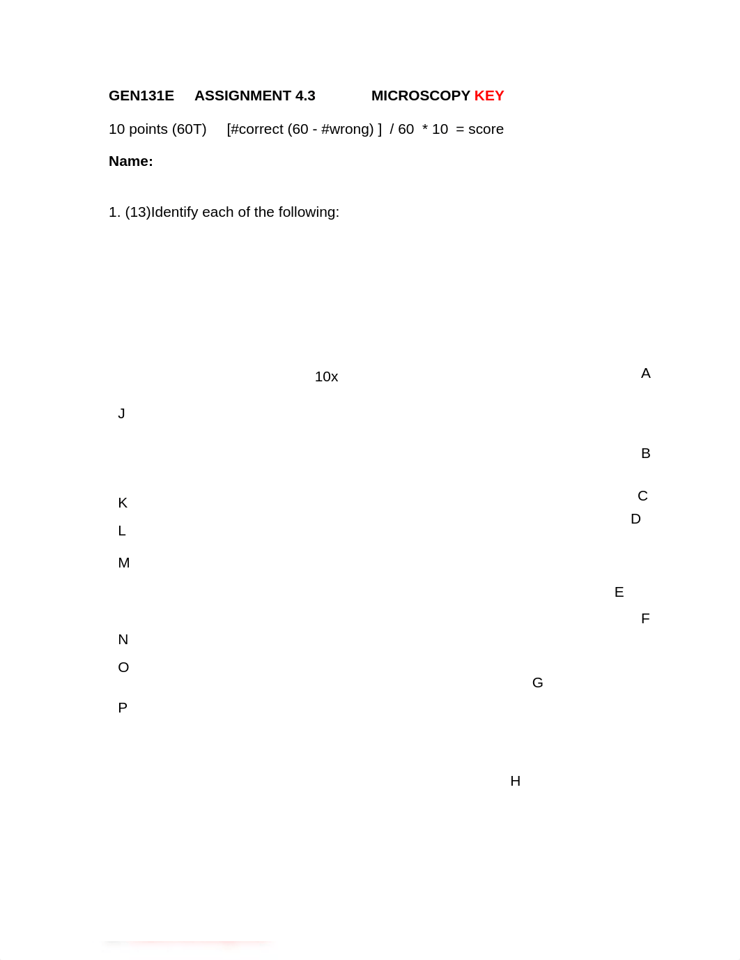 GEN131E BbLU ASSN 4.3 MICROSCOPY KEY  (1).docx_d5atq0vft75_page1