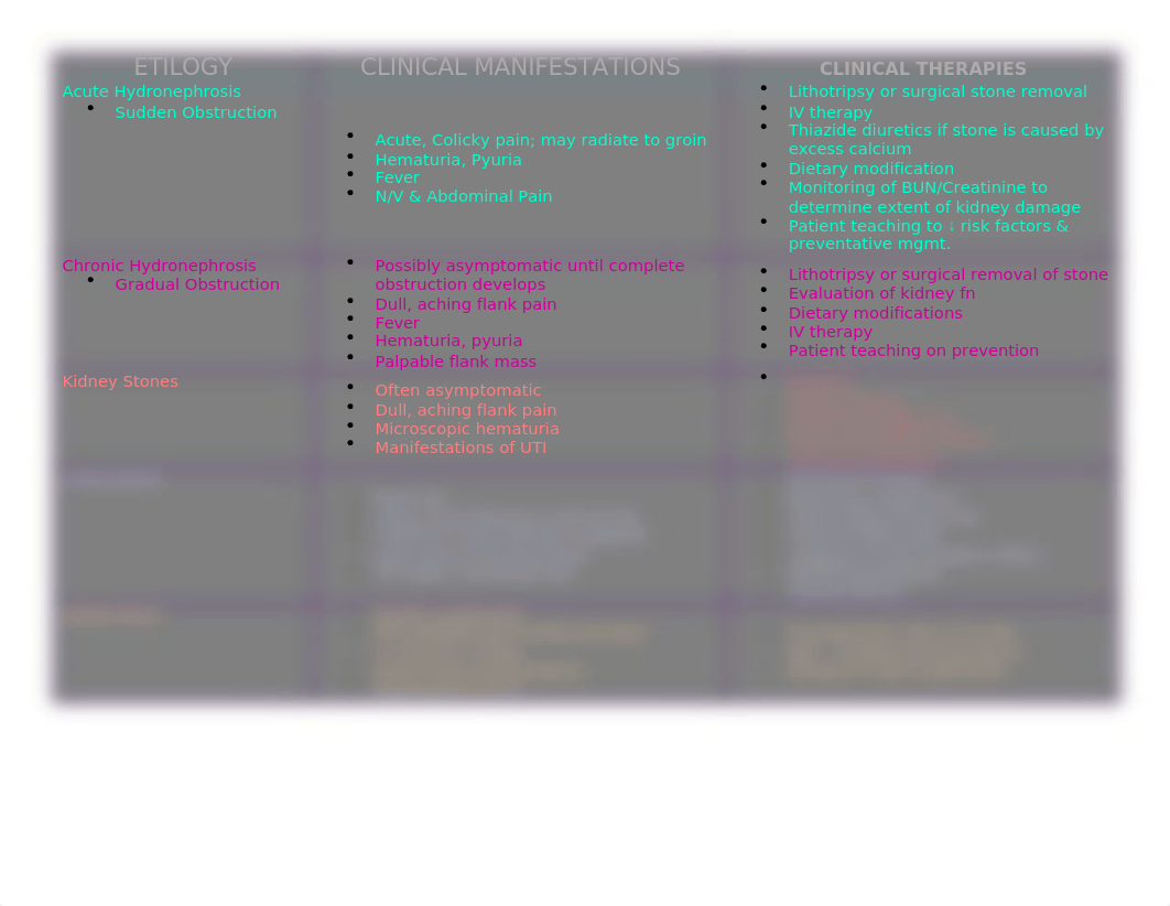 Urinary Calculi Concept Map.docx_d5ayzkfg4we_page1