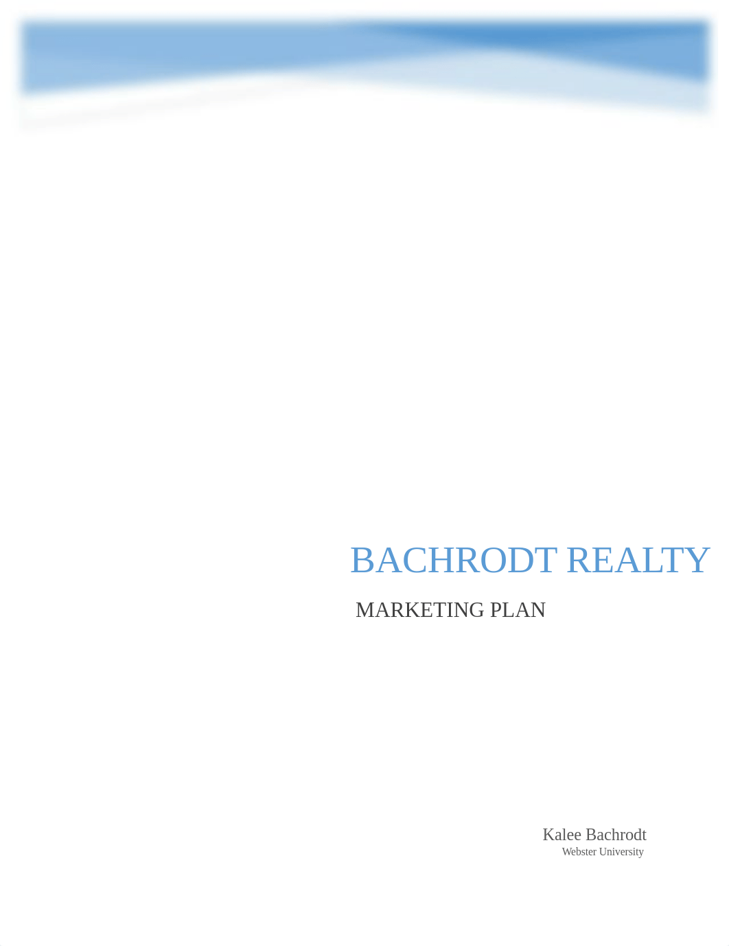 Bachrodt Realty Marketing Plan_d5b1gokkwq5_page1