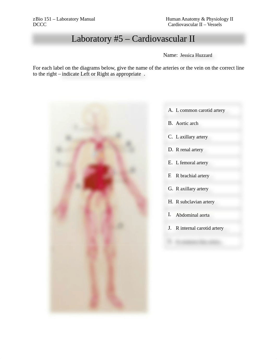 BIO 151 Lab #5 Cardiovascular JONEN.docx_d5b4pb5bpaj_page1