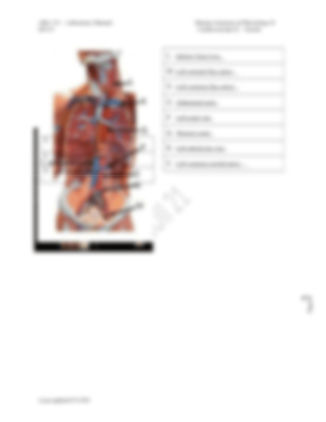 BIO 151 Lab #5 Cardiovascular JONEN.docx_d5b4pb5bpaj_page2