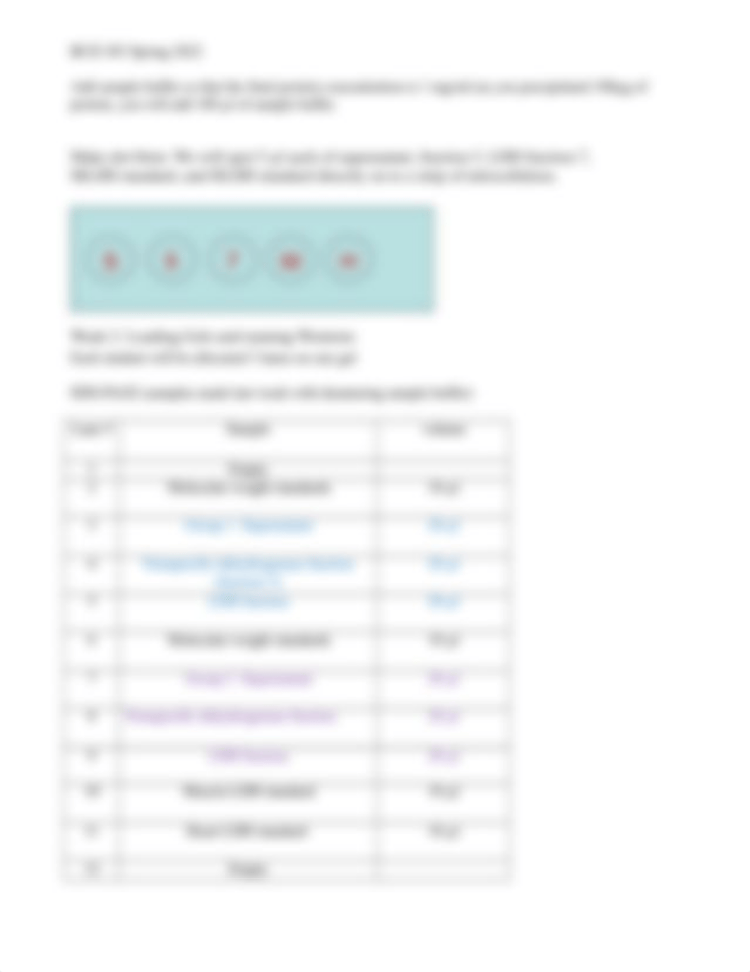 BCH 303 2022 Lab 10 PAGE and western blots.docx_d5b5a8gncd4_page3