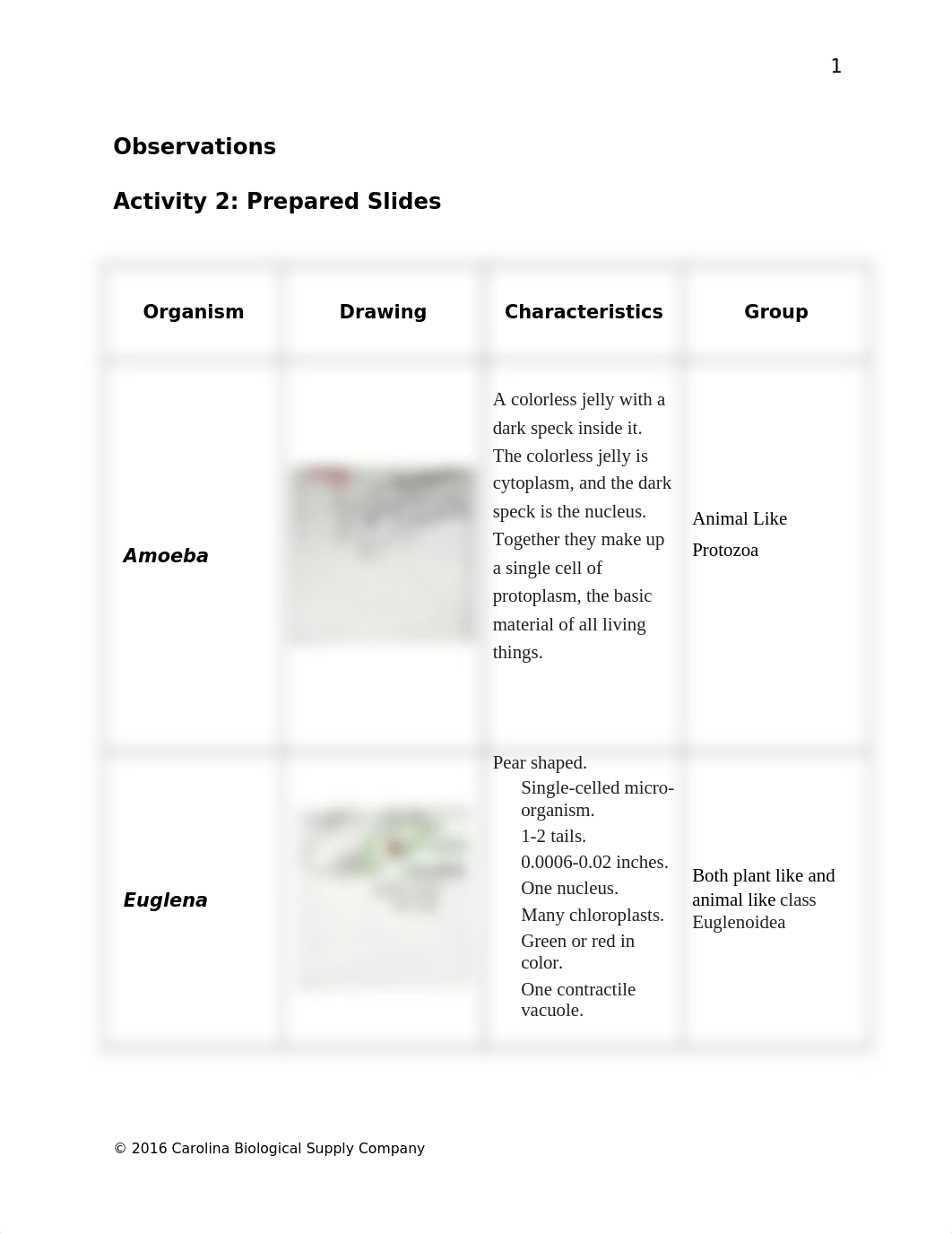 580134 Survey of Protists Q (1).docx_d5bbkh6za4n_page2