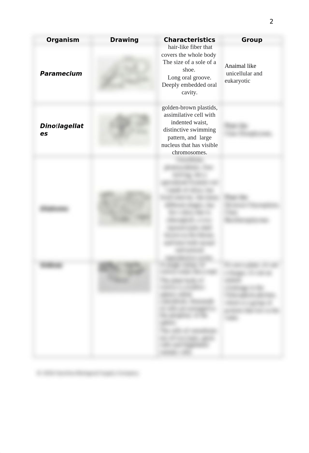 580134 Survey of Protists Q (1).docx_d5bbkh6za4n_page3